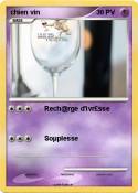 chien vin