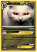 cute kitty