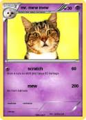 mr. mew mew