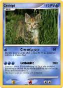 Crokipi