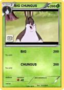 BIG CHUNGUS