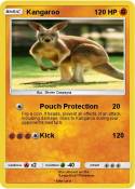 Kangaroo