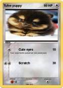 Tufee puppy