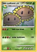 twin sunflower