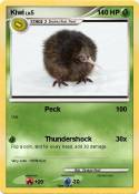 Kiwi