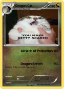 Dragon Cat