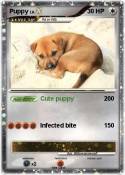 Puppy