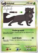 Hollyleaf