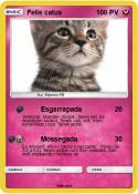 Felis catus