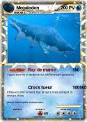 Megalodon