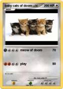 baby cats of