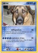 obi ex
