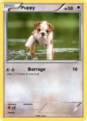 Puppy