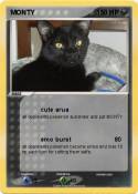 MONTY