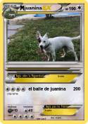 juanina