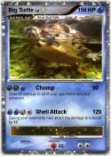 Big Turtle