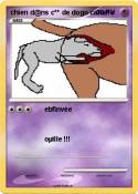 chien d@ns c**