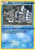 ADSEA 05 SITE