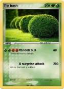 The bush
