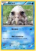 Wet bird