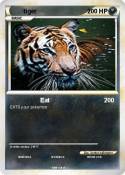 tiger