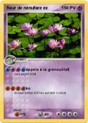 fleur de nénufa