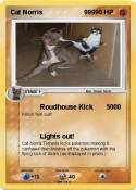 Cat Norris 999