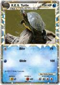 R.E.S. Turtle
