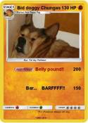 Bid doggy Chung