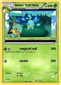 SHINY TURTWIG