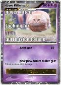 Hover Kitten