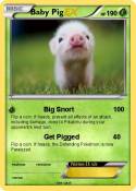 Baby Pig