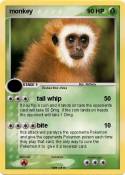 monkey