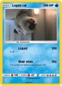 Liquid cat