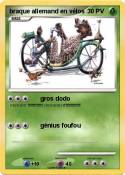 braque allemand