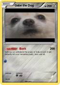 Gabe the Dog