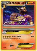 LEBRON JAMES