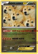 DOGE ARMY