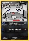 PanPanMC