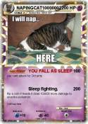 NAPINGCAT100000