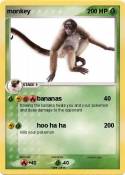 monkey