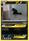 Wish Cat