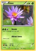 Flower