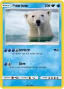 Polar bear