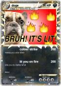 doge