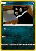 NINJA CAT