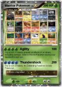 Warrior Pokemon