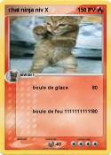 chat ninja niv