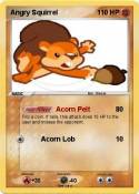 Angry Squirrel