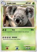 koala man